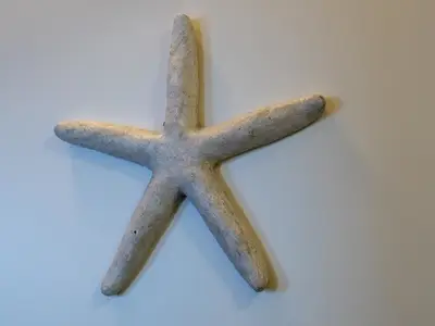 Ferienwohnung für 2 Personen (35 m²) in Norden 10/10