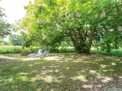 Ferienwohnung für 4 Personen (64 m²) in Leybuchtpolder 6/10
