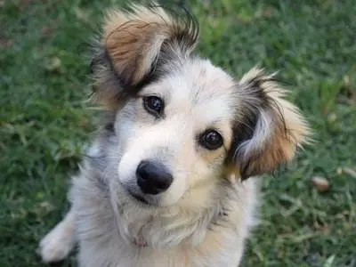 Ferienwohnung für 4 Personen (55 m²) in Norden 6/10