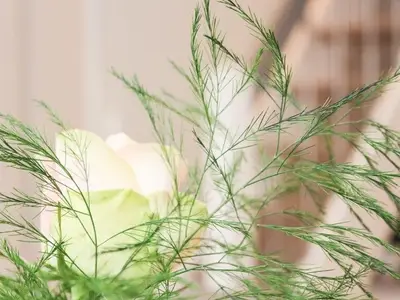 Ferienwohnung für 4 Personen (60 m²) in Norden Norddeich 7/10