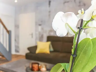 Ferienwohnung für 6 Personen (75 m²) in Norden Norddeich 7/10