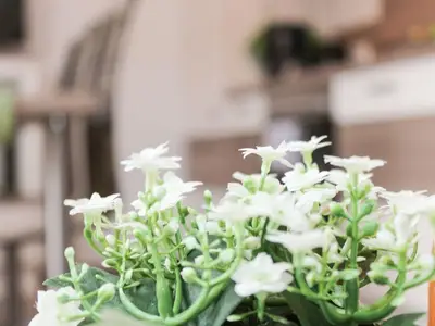 Ferienwohnung für 4 Personen (62 m²) in Norden Norddeich 6/10