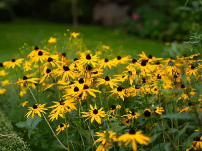Ferienwohnung für 4 Personen (55 m²) in Norderbrarup 3/10