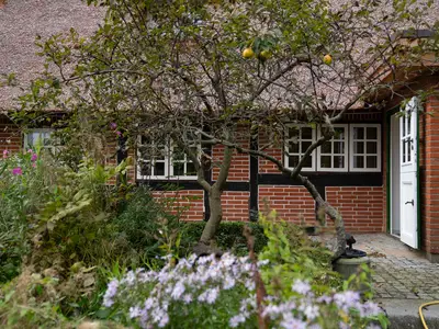 Ferienwohnung für 4 Personen (55 m²) in Norderbrarup 4/10