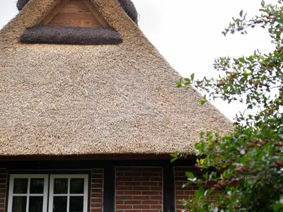 Ferienwohnung für 4 Personen (55 m²) in Norderbrarup 9/10