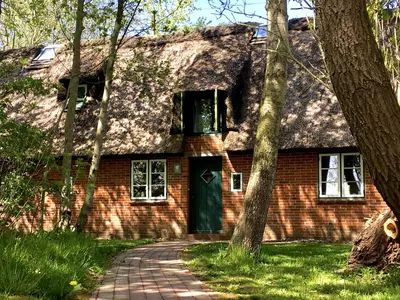 Ferienwohnung für 4 Personen (122 m²) in Norderfriedrichskoog 1/10