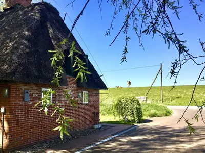 Ferienwohnung für 4 Personen (122 m²) in Norderfriedrichskoog 2/10