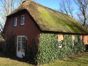 Ferienwohnung für 4 Personen (75 m²) in Norderfriedrichskoog