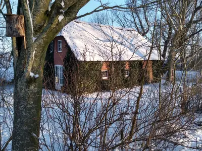 Ferienwohnung für 4 Personen (75 m²) in Norderfriedrichskoog 4/10