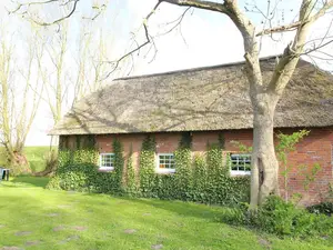 Ferienwohnung für 4 Personen (75 m²) in Norderfriedrichskoog