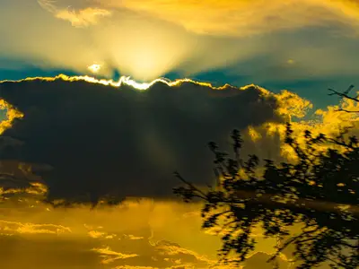 Ferienwohnung für 2 Personen (35 m²) in Norderney 7/7