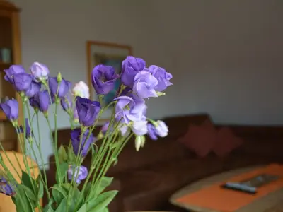 Ferienwohnung für 4 Personen (90 m²) in Norderney 9/10
