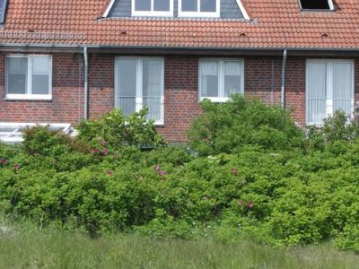 Ferienwohnung für 2 Personen (25 m²) in Norderney 5/6