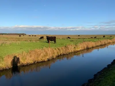 Ferienwohnung für 2 Personen (32 m²) in Norderney 9/10