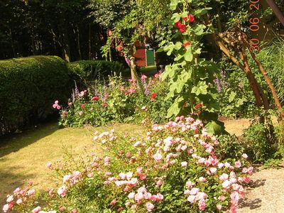 Ferienwohnung für 2 Personen (26 m²) in Norderney 9/10