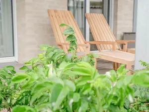 Ferienwohnung für 6 Personen (91 m²) in Norderney
