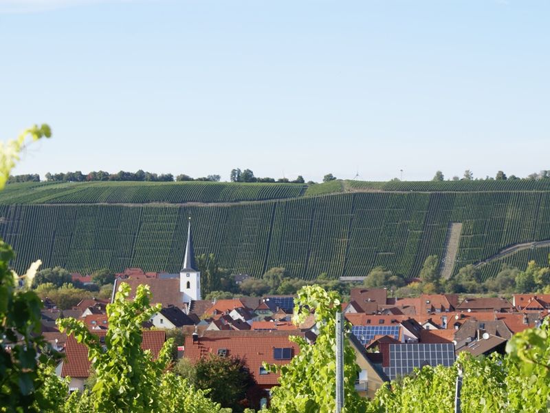 19160284-Ferienwohnung-3-Nordheim am Main-800x600-2