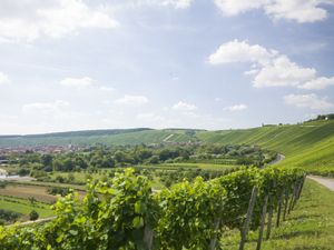 Blick von Volkach nach Escherndorf