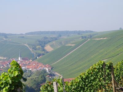 Blick vom Escherndorfer Lump ins Tal