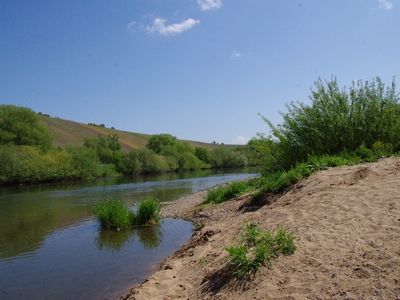 Ursprüngliches Mainufer mit Strandcharakter