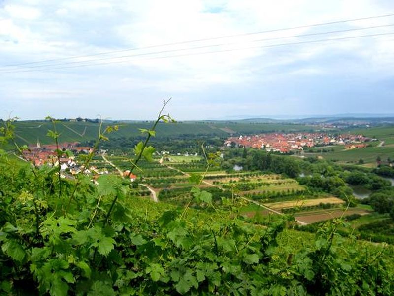 22140097-Ferienwohnung-6-Nordheim am Main-800x600-2