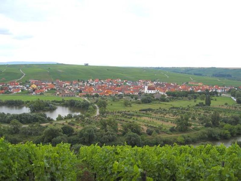 19326221-Ferienwohnung-6-Nordheim am Main-800x600-1