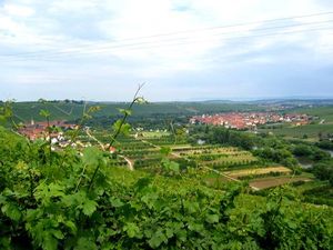 19326221-Ferienwohnung-6-Nordheim am Main-300x225-2