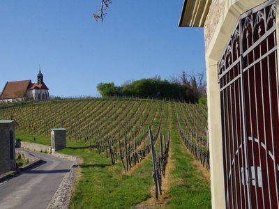 Unser eigener Schwarzriesling-Weinberg bei der Wallfahrtskirche Maria im Weingarten