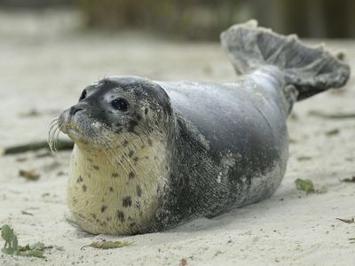 Tierpark Nordhorn