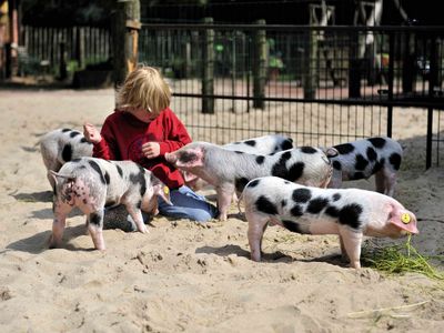 Tierpark Nordhorn