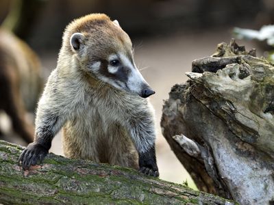 Tierpark Nordhorn