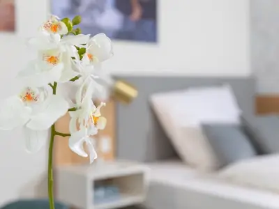 Ferienwohnung für 2 Personen (27 m²) in Nordhorn 6/10