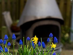 19356758-Ferienwohnung-5-Nordstrand-300x225-2