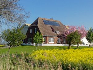 Ferienwohnung für 2 Personen (40 m&sup2;) in Nordstrand