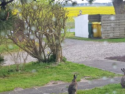 Ferienwohnung für 3 Personen (25 m²) in Nordstrand 4/10