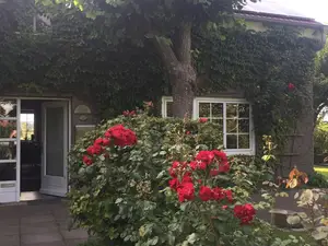 Ferienwohnung für 3 Personen (70 m²) in Nordstrand