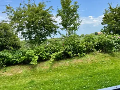 Ferienwohnung für 4 Personen (42 m²) in Nordstrand 9/10