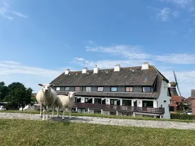 Ferienwohnung für 3 Personen (40 m²) in Nordstrand 5/10