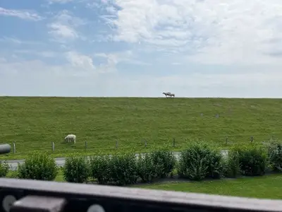 Ferienwohnung für 3 Personen (40 m²) in Nordstrand 8/10