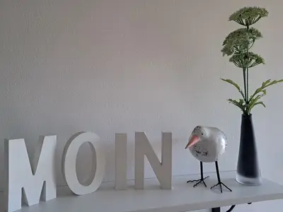 MOIN MOIN