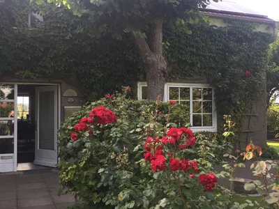 Ferienwohnung für 3 Personen (70 m²) in Nordstrand 1/10