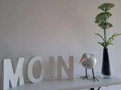 Ferienwohnung für 2 Personen (40 m²) in Nordstrand 2/10