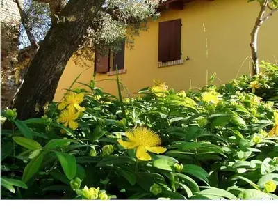 Bild 8