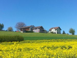 18988031-Ferienwohnung-6-Nottwil-300x225-1