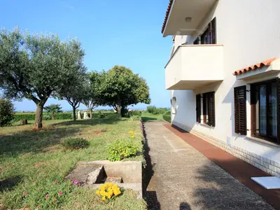 Ferienwohnung für 4 Personen (45 m²) in Nova Vas 6/10