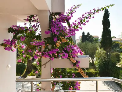 Ferienwohnung für 6 Personen (60 m²) in Novalja 5/10