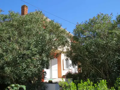 Ferienwohnung für 3 Personen (28 m²) in Novalja 3/10