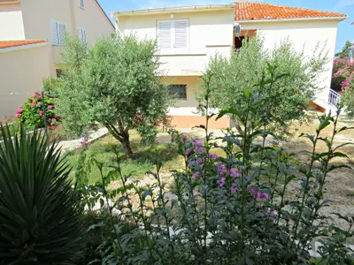 Ferienwohnung für 4 Personen (53 m²) in Novalja 5/10