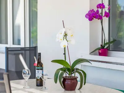 Ferienwohnung für 8 Personen (90 m²) in Novi Vinodolski 2/10