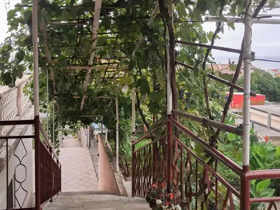 outside